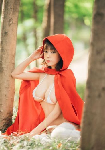 龙珠第一部