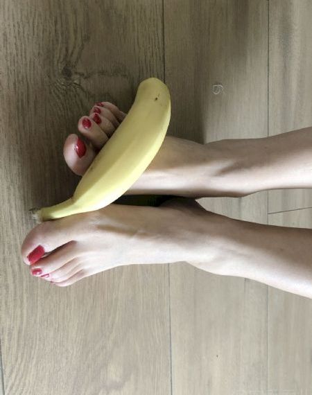 长公主驾到短剧全集免费观看