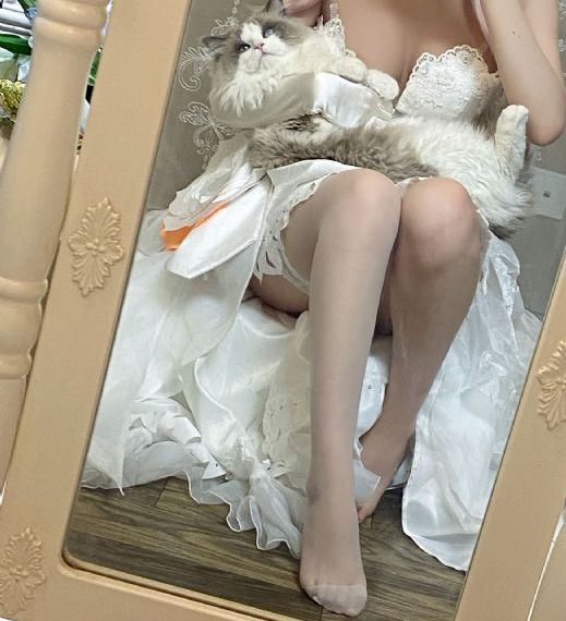 善良的女秘书视频