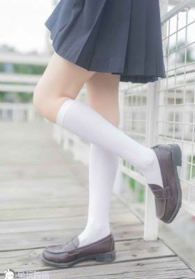 xl司令第一季全集