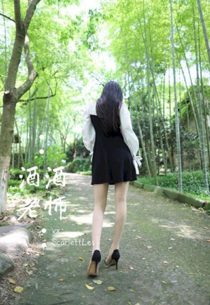 步步惊心第二部